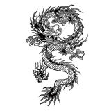 米季琳（mijilin）草本龙纹身贴男果汁防水仿真刺青大图大腿后背胸前半永久男士半酷 龙 【1张】