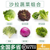 千牛优福新鲜生菜组合4斤球生菜红叶等6种沙拉蔬菜轻食蔬菜包 6种蔬菜共4斤【无酱】