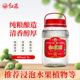 红荔牌 红荔40度5L浸泡酒  米香型白酒 红米酒广东顺德米酒青梅酒水果