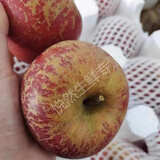 旷古农业云南昭通丑苹果 冰糖心苹果新鲜水果当季现摘整箱脆甜 9斤16-18个