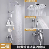 九牧王世家全铜淋浴花洒套装家用卫浴室淋雨恒温数显增压喷头莲蓬卫生间花洒 银色-促销三档圆喷【送置物架】