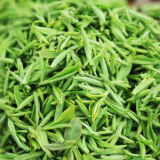 拾茗集信阳精品毛尖茶2024新茶茶叶绿茶 高山毛尖500g 500g