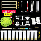 福美养蜂 蜜蜂育王工具全套中蜂人工养蜂取浆框蜂王棒移虫针王台杯 育王工具套装