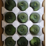 绿宝石甜瓜小香瓜蜜脆甜瓜头茬新鲜应当绿皮瓜水果整箱礼盒生鲜 净重小果4.8斤（9-12个左右）