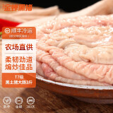 缘琳山 国产黑土猪肉 农家散养猪肉 生鲜冷鲜肉 【好吃肥美】T7黑土猪大肠3斤