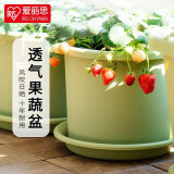 爱丽思（IRIS）Deepot花盆加厚树脂控根圆口绿萝绣球蔷薇月季塑料花盆 9号浅绿色(口径约30cm)无盆托