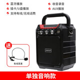 爱歌 S15蓝牙音响小型户外手提K歌便携式插卡U盘大功率广场舞音箱 蓝牙版充电线遥控器背带【送有线耳麦】