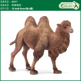 COLLECTA英国CollectA我你他仿真野生动物合集模型玩具认知 88807双峰骆驼