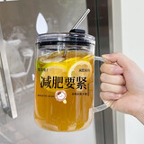 艮泊 水杯大容量玻璃杯男女咖啡杯办公室喝水杯网红高颜值夏天杯子 【减肥】玻璃吸管 1000ml