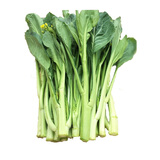 【好事连连】连州菜心400g