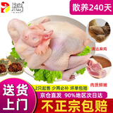 柒岛清远鸡生鲜广东土鸡整只农家散养走地鸡童子鸡特产 清远鸡2只【约1.8斤/只】