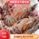 海路易竹节虾九节虾深海捕捞花虾对虾斑节虾新鲜速冻生鲜超大海虾 17-19cm 10-13只/斤 大号 500g