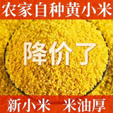 领衔主演黄小米500g新米小黄米月子粥农家油脂小米粥糯粟米粗粮 500g