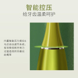 罗曼T10s和T10xl哪个好用(深度对比评测分享)