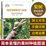 画说果树修剪与嫁接 果树种植技术大全书嫁接技术图解书果树嫁接技巧书籍大全树木果树种植栽培技术书农业书