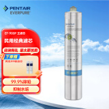 爱惠浦（Everpure）家用净水器直饮机主滤芯 EF-900P 主滤芯