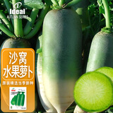 IDEAL理想农业 沙窝水果萝卜种子盆栽蔬菜种籽秋播易种脆甜青萝卜种子