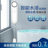 凌防（LFang） 家用漏水报警器 水浸传感器 水浸漏水报警器 水位漏水报警器探测器 机房水浸报警器 【独立款】水漏报警器