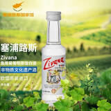Zivana Loel鱼尾菊葡萄蒸馏白酒 非物质文化遗产 G100银奖 塞浦路斯原瓶进口 50ml *12瓶