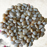 娴雅天然精抛光鹅卵石雨花石小石子鱼缸花盆园艺彩石头养鱼造景石头 白色 1~3cm一元硬币大小 3斤装