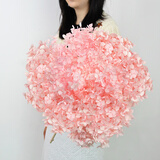 匠心绽放绣球大花束节日礼物天然干花真花家居装饰摆件插花礼物粉色20269