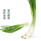京百味 日日鲜 蘸酱小葱250g