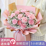 植伴康乃馨百合鲜花生日祝福探望病人母亲节鲜花速递送妈妈全国同城店 X款-11朵粉康乃馨