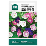 北蔬 牵牛花种子种苗可盆栽爬藤植物花卉种籽 混色牵牛花种子500粒