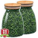 馨诺【共计发2罐】茶叶安溪铁观音2025春茶清香型兰花香乌龙茶250g/罐