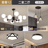 世界之星客厅吊灯led北欧网红魔豆分子灯餐厅卧室现代简约全屋套餐灯具 精装套餐12 两室两厅