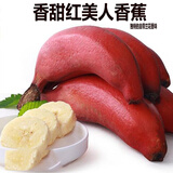 （现摘/土楼）特级红美人香蕉 红皮香蕉新鲜大芭蕉粉蕉咖啡蕉红焦 特级红香蕉 2500g