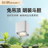 初识 客厅led斗胆灯双头明装射灯全光谱无主灯方形护眼明装筒灯 白色单头 10W  4000K自然光