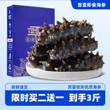 宫壹大连即食海参直接吃 新鲜速发底播刺参海鲜水产 甄选参王 500g 6-9只