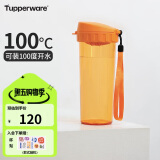 特百惠（Tupperware）茶韵500ML塑料杯 男女学生便携办公用水杯子大容量双饮口 橘花橙