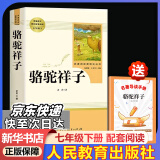 人教版 七年级必读 骆驼祥子 海底两万里  2024新版 朝花夕拾 西游记  课外书课外阅读初一必读课外书初一必读升级版正版书目名著原著无删减版 人民教育出版社 七年级下册-必读-骆驼祥子