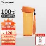 特百惠（Tupperware）茶韵500ML塑料杯 男女学生便携办公用水杯子大容量双饮口 橘花橙