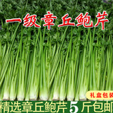 章丘鲍芹一级芹菜山东特产食用礼盒正宗产地 5斤精品装