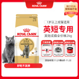 皇家猫粮 英短成猫粮 BS34 通用粮 12月以上 2KG