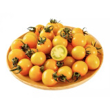 京地达栗贝诺 阳光小番茄净重4.5斤 新鲜现摘时令水果自然成熟源头直发