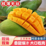 集年鲜广西青皮大芒果 青黄玉芒随机发 热带新鲜水果整箱送礼 净重4.5斤实惠装（单果200起）