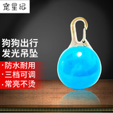 宠星记 宠物 LED狗狗发光吊坠 夜间遛狗灯 夜间防走失遛狗灯 蓝色