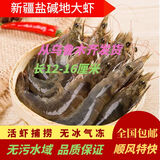 新疆海鲜无污染水域大虾鲜冻净重对虾乌鲁木齐发顺丰航空全国包邮 2斤