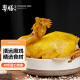 粤膳三千味广府盐焗鸡900g 清远鸡广东特产咸香鸡 聚餐熟食预制菜加热即食