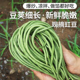 密农人家 新鲜豇豆 农家长豆角 鲜嫩可口豇豆角 细长豆角新鲜蔬菜400g