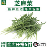 千牛优福芝麻菜250g-500g 新鲜蔬菜沙拉食材 生菜 西餐 火箭菜 新鲜芝麻菜250g