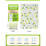 奥然 野餐垫露营垫防潮加厚户外地垫草坪垫郊游野餐布便携户外帐篷垫 【加厚防水款】飞叶200*300