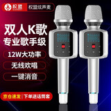 权盟 炫声麦克风话筒音响一体无线蓝牙全民电视K歌唱歌神器手机电脑直播声卡家庭ktv卡拉ok车载麦克风 R2旗舰款双人版（有U段）