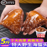 大连特级野生红花海蜇头3斤/5斤桶装非即食凉拌菜盐渍海蛰头顺丰 净重5斤桶装 海蜇头
