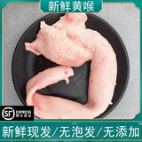 新鲜不泡发无添加毛肚牛百叶带底板生鲜大片千层心管黄喉火锅食材 3斤新鲜牛黄候
