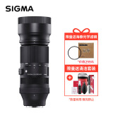 适马（SIGMA）100-400mm F5-6.3 DG DN OS｜Contemporary 全画幅无反 微单 长焦镜头（索尼卡口）